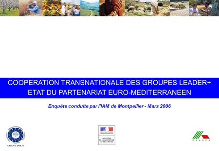 Coopération transnationale Leader+ : état du partenariat euro-méditerranéen - IAMM - Mars 2006 COOPERATION TRANSNATIONALE DES GROUPES LEADER+ ETAT DU PARTENARIAT.