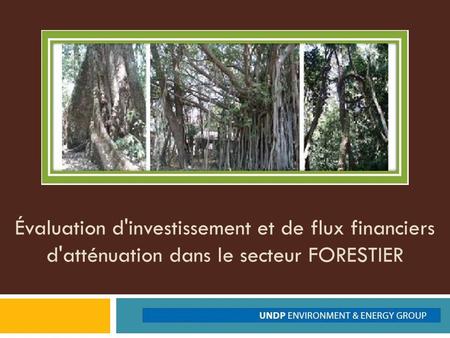 Évaluation d'investissement et de flux financiers d'atténuation dans le secteur FORESTIER.