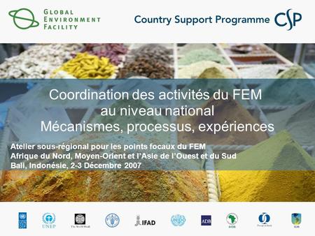 Coordination des activités du FEM au niveau national Mécanismes, processus, expériences Atelier sous-régional pour les points focaux du FEM Afrique du.