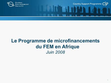1 Le Programme de microfinancements du FEM en Afrique Juin 2008.