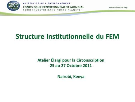 Structure institutionnelle du FEM Atelier Élargi pour la Circonscription 25 au 27 Octobre 2011 Nairobi, Kenya.