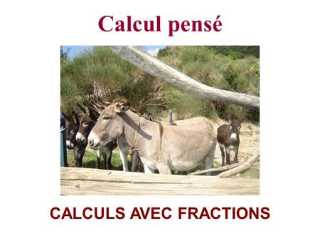 CALCULS AVEC FRACTIONS