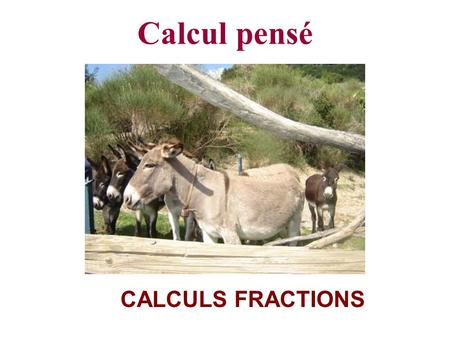 Calcul pensé CALCULS FRACTIONS SUITES DE CALCULS FRACTIONS Prépare sur une feuille 10 lignes numérotées de 1 à 10 pour les réponses : 1. 2. 3. 4. 5.