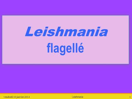 Leishmania flagellé dimanche 26 mars 2017 Leishmania.