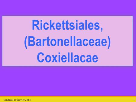 Rickettsiales, (Bartonellaceae) Coxiellacae