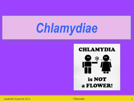 Chlamydiae dimanche 26 mars 2017 Chlamydiae.