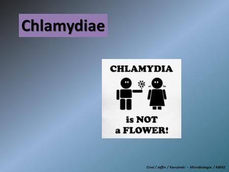 Chlamydiae Civel / Joffin / Karczinski - Microbiologie / ABM2.