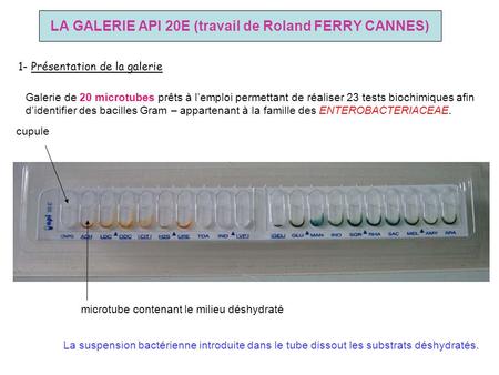 LA GALERIE API 20E (travail de Roland FERRY CANNES)