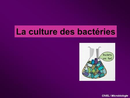 La culture des bactéries