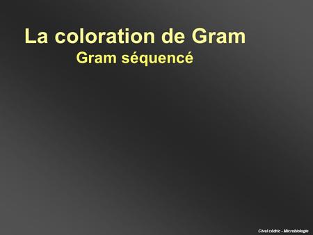 La coloration de Gram Gram séquencé Civel cédric - Microbiologie.