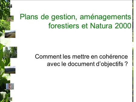 Plans de gestion, aménagements forestiers et Natura 2000 Comment les mettre en cohérence avec le document dobjectifs ?