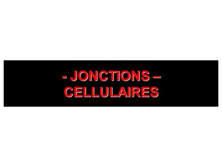 - JONCTIONS – CELLULAIRES