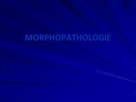 MORPHOPATHOLOGIE.