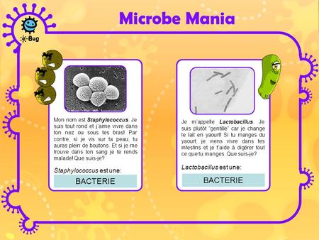 Microbe Mania BACTERIE BACTERIE Lactobacillus est une: