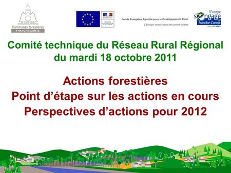 Actions forestières Point détape sur les actions en cours Perspectives dactions pour 2012 Comité technique du Réseau Rural Régional du mardi 18 octobre.