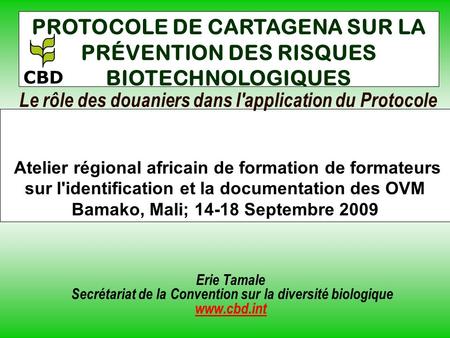 Le rôle des douaniers dans l'application du Protocole Atelier régional africain de formation de formateurs sur l'identification et la documentation des.
