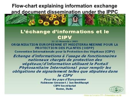 Flow-chart explaining information exchange and document dissemination under the IPPC Atelier de formation PPI – Présentation no. 4a.