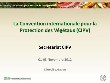La Convention internationale pour la Protection des Végétaux (CIPV)