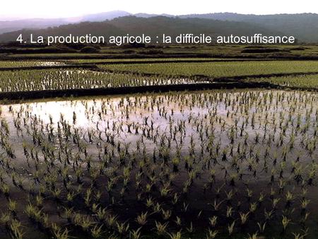 4. La production agricole : la difficile autosuffisance.