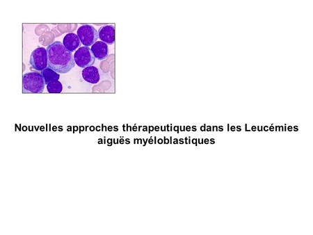 Cellule souche leucémique