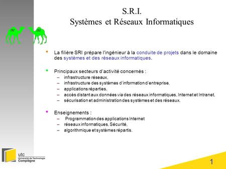 S.R.I. Systèmes et Réseaux Informatiques