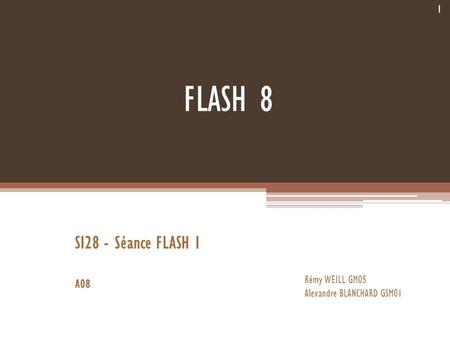 FLASH 8 SI28 - Séance FLASH 1 A08 Rémy WEILL GM05