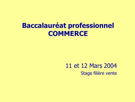 Baccalauréat professionnel COMMERCE 11 et 12 Mars 2004 Stage filière vente.