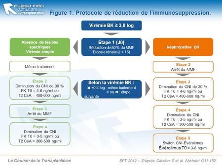 La Lettre du Cancérologue Le Courrier de la Transplantation Figure 1. Protocole de réduction de limmunosuppression. Virémie BK 3,0 log Étape 1 (J0) Réduction.