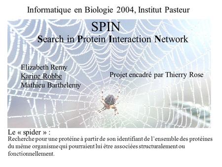 Informatique en Biologie 2004, Institut Pasteur