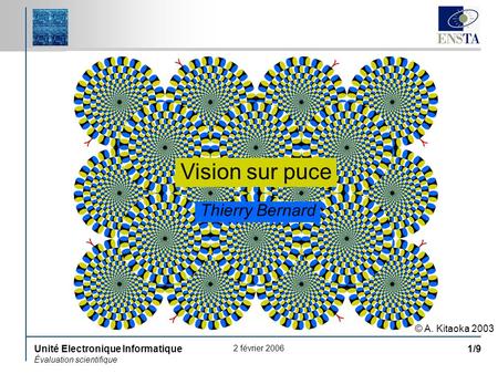 Vision sur puce Thierry Bernard © A. Kitaoka 2003.