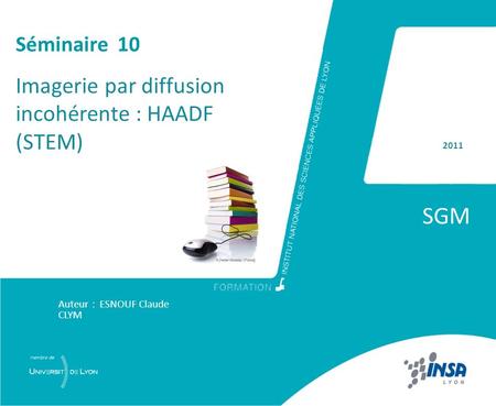 SGM Imagerie par diffusion incohérente : HAADF (STEM) Séminaire 10