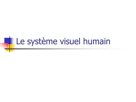 Le système visuel humain