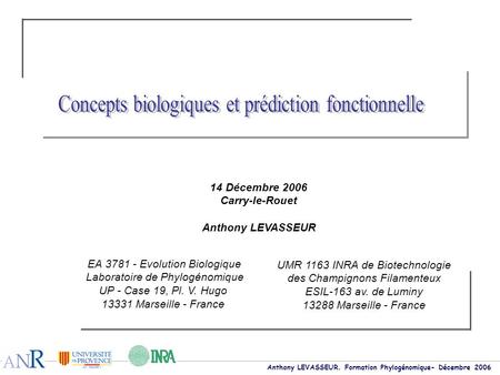 Anthony LEVASSEUR. Formation Phylogénomique- Décembre 2006