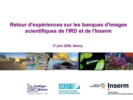 Retour d'expériences sur les banques d'images scientifiques de l'IRD et de l'Inserm 17 juin 2008, Nancy.