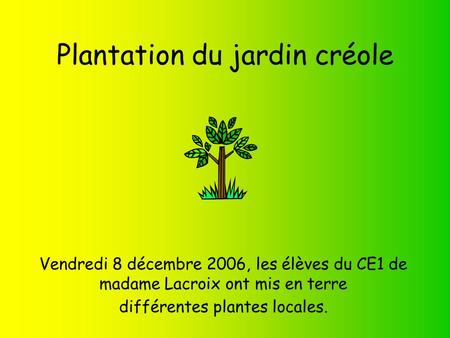 Plantation du jardin créole