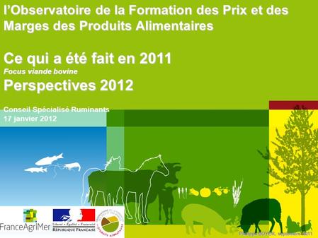 Philippe BOYER, septembre 2011 lObservatoire de la Formation des Prix et des Marges des Produits Alimentaires Ce qui a été fait en 2011 Focus viande bovine.