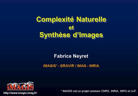 Complexité Naturelle et Synthèse d’Images