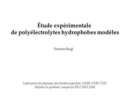 de polyélectrolytes hydrophobes modèles
