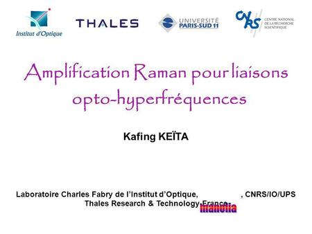 Amplification Raman pour liaisons opto-hyperfréquences