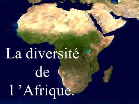 La diversité de l ’Afrique.
