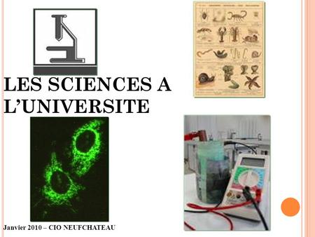 LES SCIENCES A L’UNIVERSITE