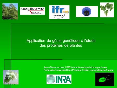 Application du génie génétique à l'étude des protéines de plantes Jean-Pierre Jacquot, UMR interaction Arbres Microorganismes Professeur Université Henri.
