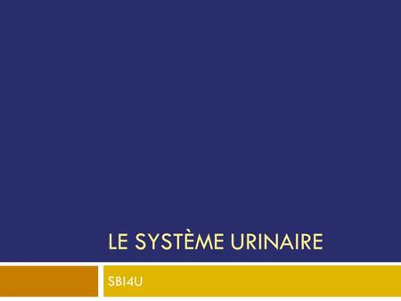Le système urinaire SBI4U.