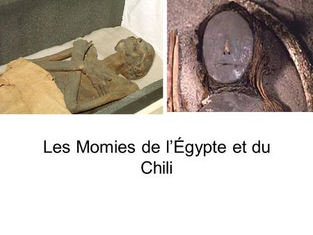 Les Momies de l’Égypte et du Chili