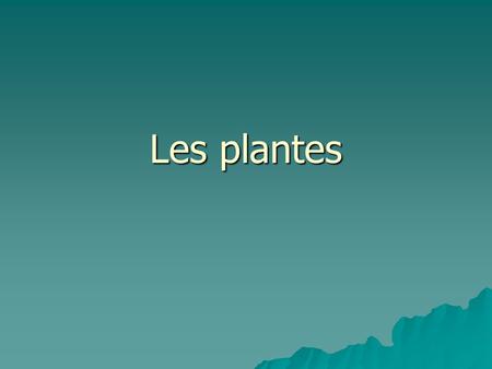 Les plantes.