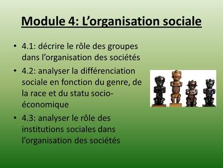 Module 4: L’organisation sociale