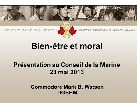 Bien-être et moral Présentation au Conseil de la Marine 23 mai 2013
