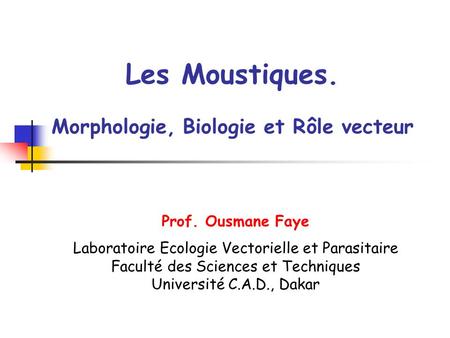 Les Moustiques. Morphologie, Biologie et Rôle vecteur