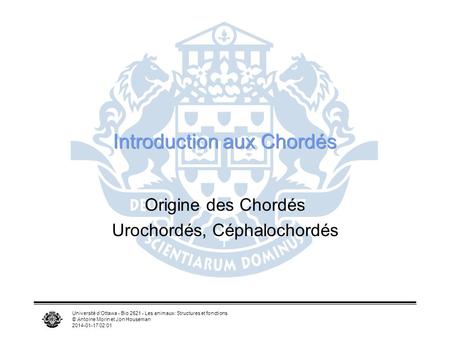 Introduction aux Chordés