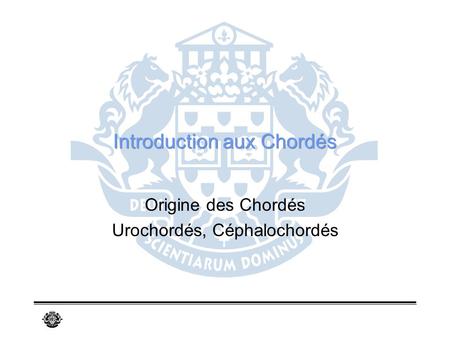 Introduction aux Chordés